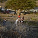 cambria_358 (November 03, 2018)